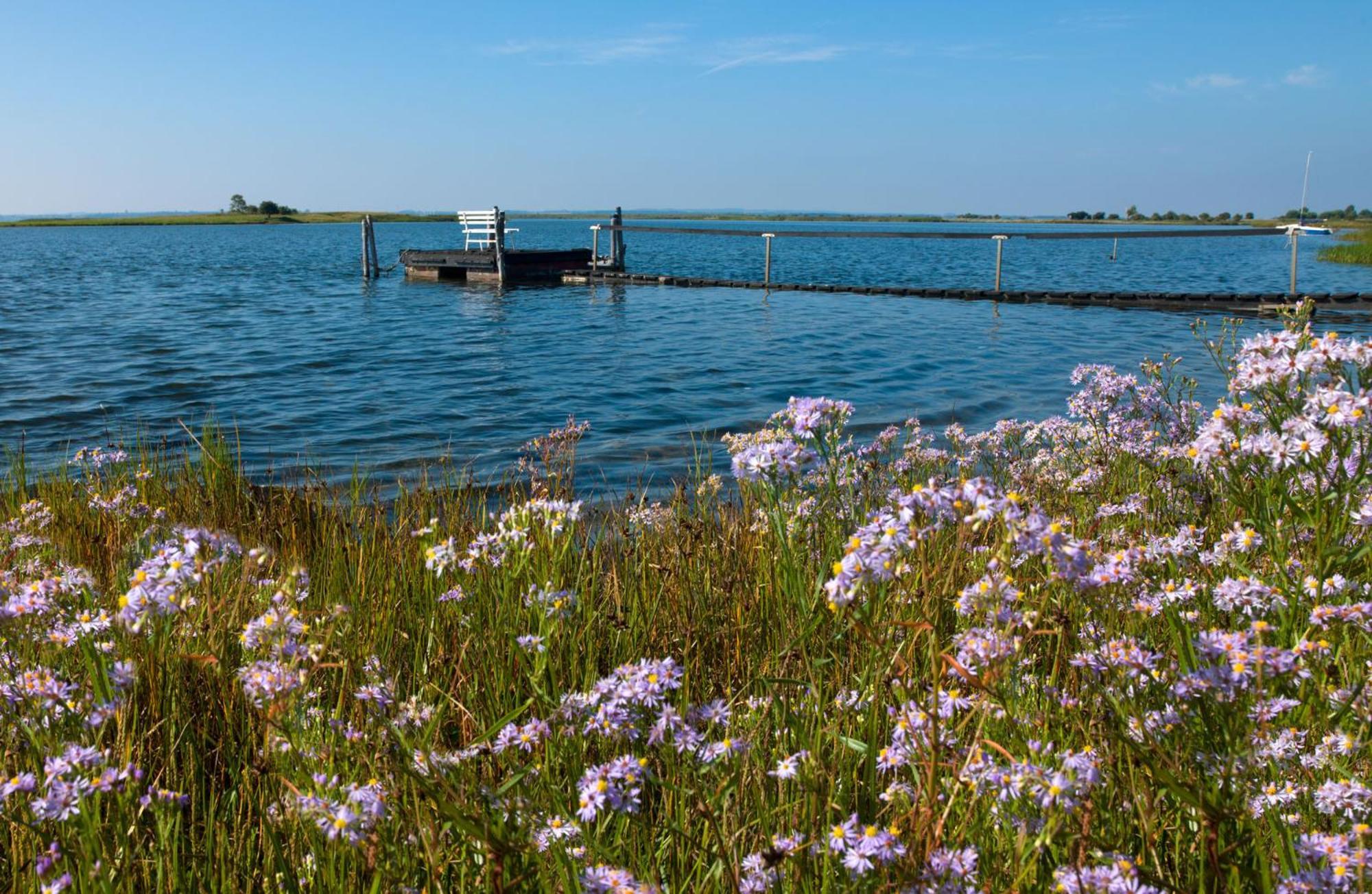 Gollwitzer Park Oase Apartment Insel Poel Luaran gambar